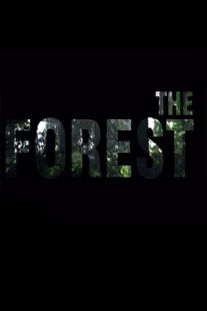 The Forest [v 1.11b] (2018)